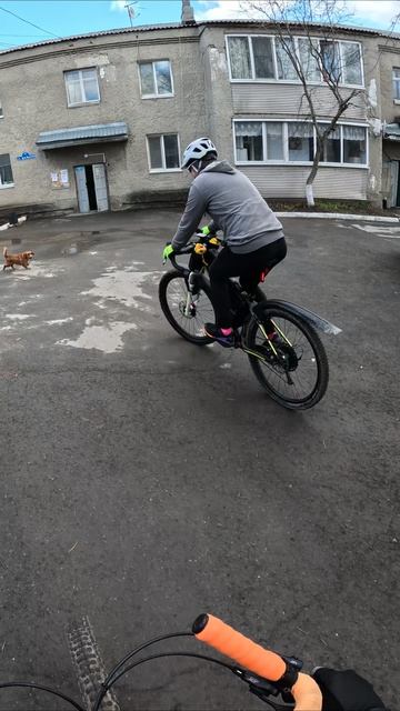 атака шмонек