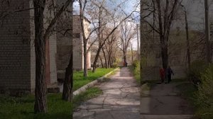 прогулка#чекс