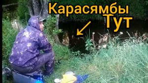 Таких Карасей даже не ожидал тут поймать. Рыбалка на забытом ручье.