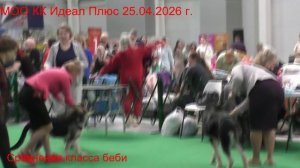 Сравнение класса беби