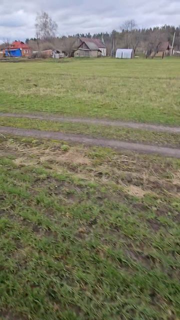 Скач тройки вороных в поле