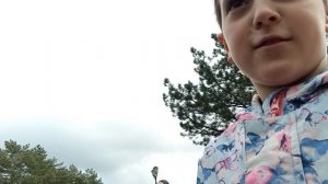 приключения 1 часть