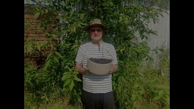 В.Ф.-6. ПОЁТ  Александр  Белых. Д-6. Народная песня.