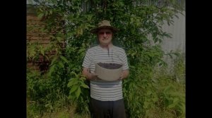 В.Ф.-6. ПОЁТ  Александр  Белых. Д-6. Народная песня.