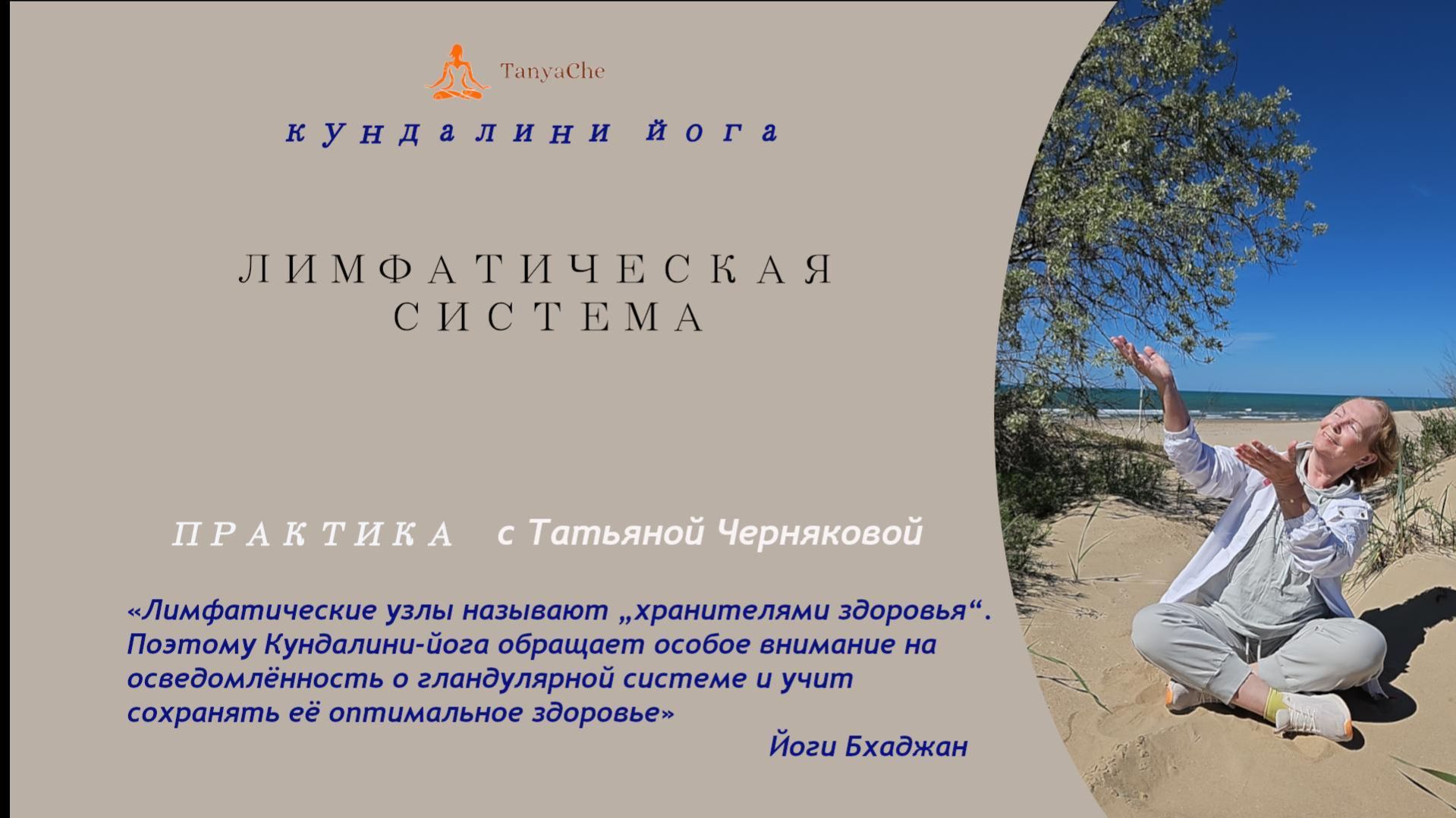 Лимфатическая система1