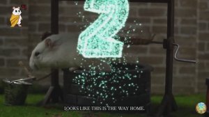 Приключения хомячка — Великое путешествие в мусорном вагоне! часть 3