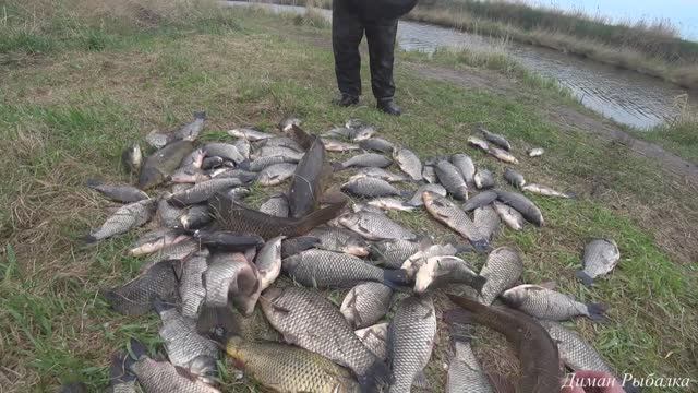 ЭТО ЖЕСТЬ ! РЫБАЛКА В ДИКОМ МЕСТЕ САДКИ ТРЕЩАТ ОТ УЛОВА!