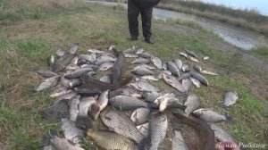 ЭТО ЖЕСТЬ ! РЫБАЛКА В ДИКОМ МЕСТЕ САДКИ ТРЕЩАТ ОТ УЛОВА!