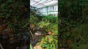 Воспоминания. Великий Устюг 2022