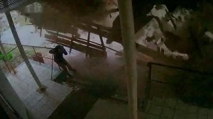 В Волгоградской области пешеход и водитель чудом выжили под рухнувшей кровлей: видео.