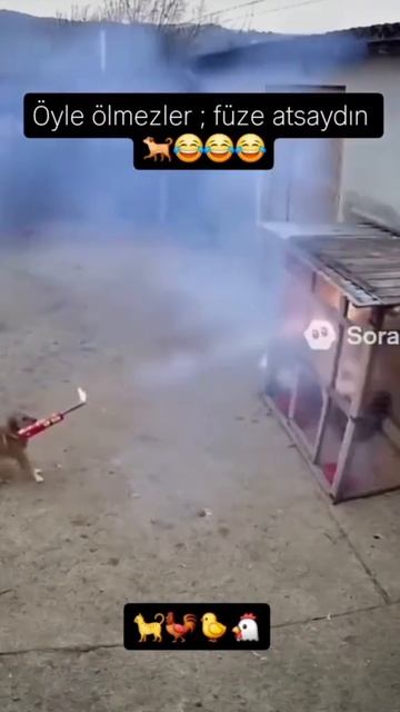 сабакина месть!!!# собака мощь#🤛