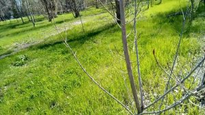 Шедевры природы. 3 серия