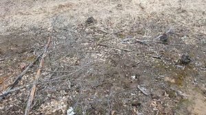 26-04-2026 Железка