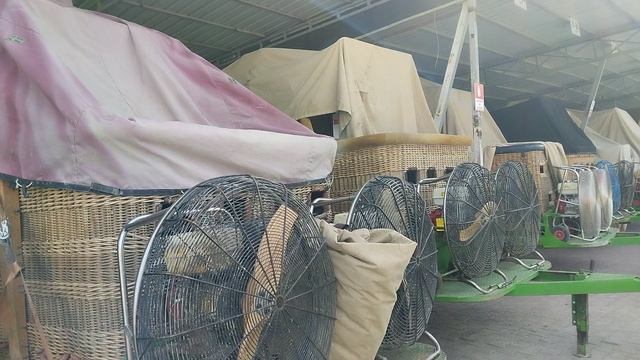 Ужасы Мехмедахмада