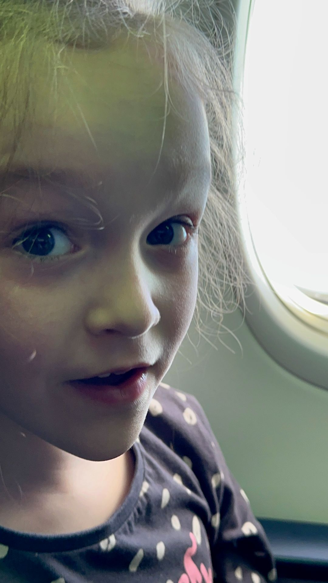 Арина в самолёте Калининград - Санкт-Петербург