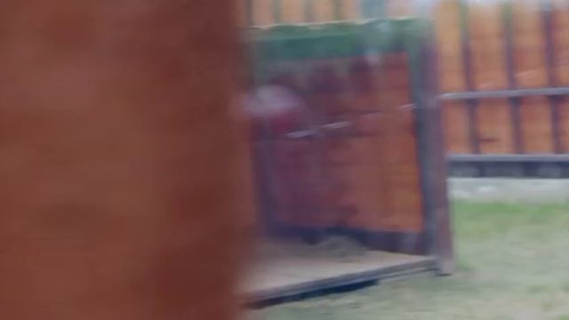 JBRD9192 Видео от Ивана 26.04.2026