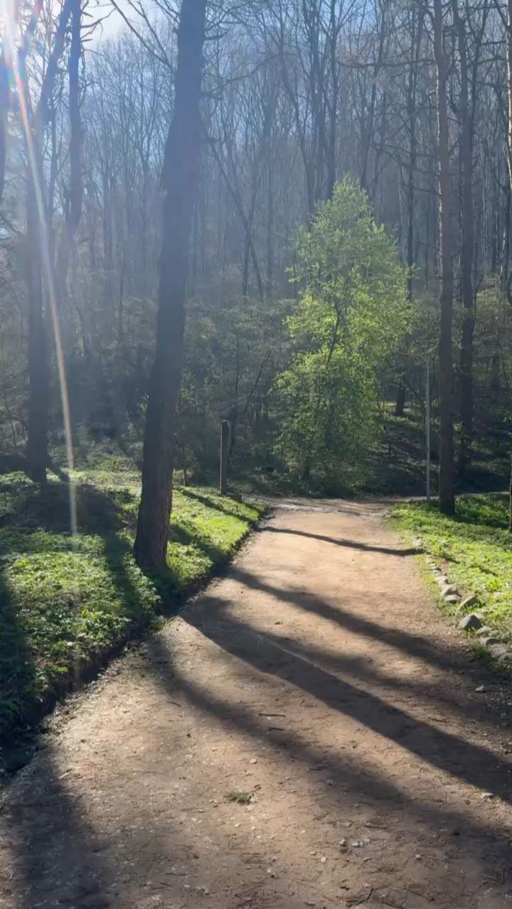 Замедлись и ощути эмоции весны - прогулка по парку Кисловодска