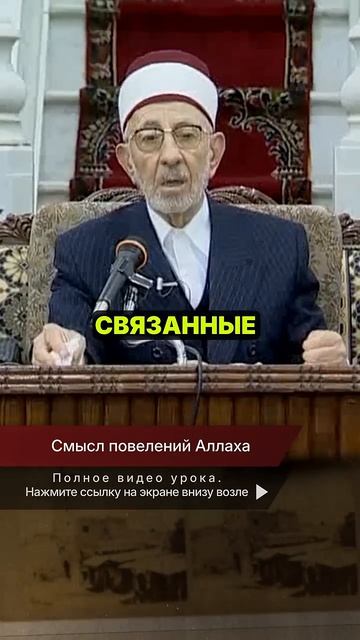Смысл повелений Аллаха | Шейх Рамадан аль-Буты → 👤 #Шейх_Рамадан_аль_Буты