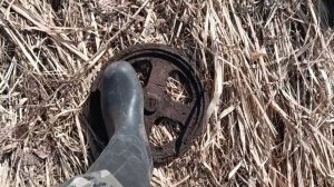 МЕТАЛЛ ПОШЁЛ!!! ВТОРОЙ ВЫЕЗД СЕЗОНА 2026!!! МЕТАЛЛОКОП С ТХ-850!!!