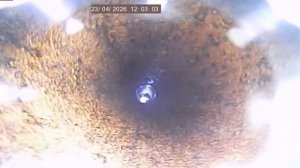 Вор обл Бобров 8