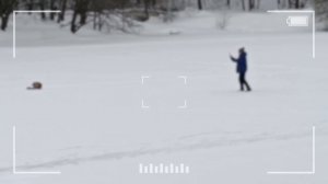 Лисья чесотка и селфи