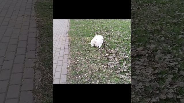 Сериал «Молли Лайф» 1 сезон 1 серия