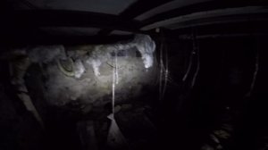 01а Тихорецк Лаборатория ветеринарная подвал 2025 год