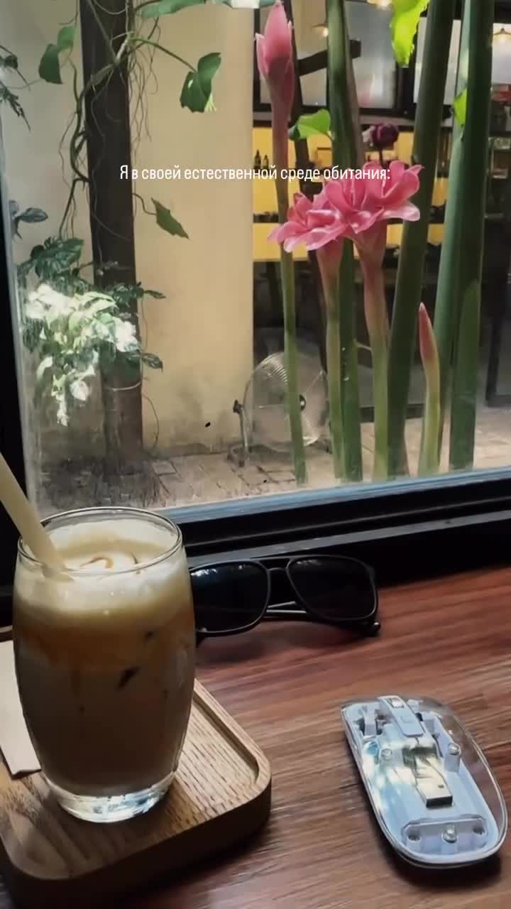 Я + еда + Вьетнам + крутые места Вьетнама - моя естественная среда обитания)