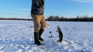 Крайнее закрытие сезона твёрдой воды. 2 серия.