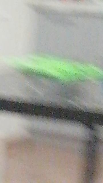 Моему коту нравится смотреть видео.