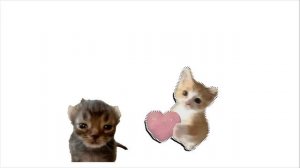 котяры помощник серия 9 сезон 1