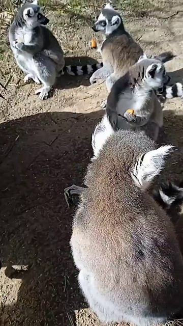 Красивым налево, умным направо))