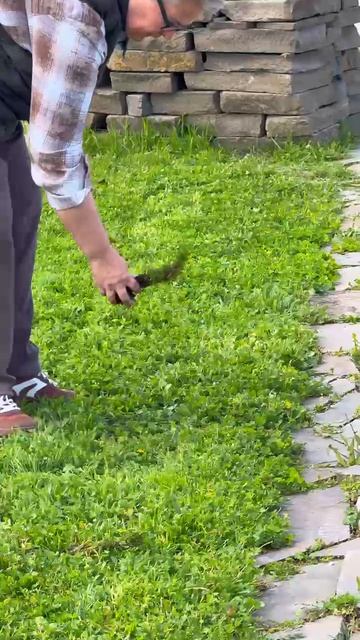 Трудовые будни дружного коллектива Винодельческого дома «Бюрнье»