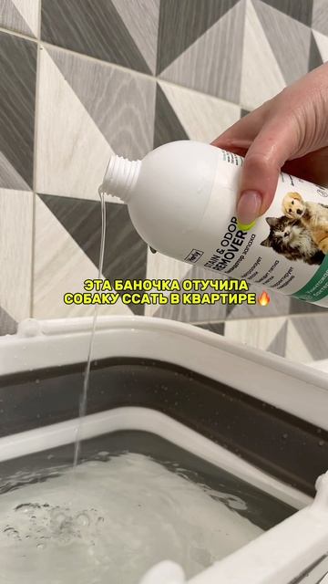 Очень долгое время у нас была одна и та же проблема.
Амур ходил дома по маленькому 
Из-за этого появ