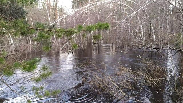 разлив р. Пра