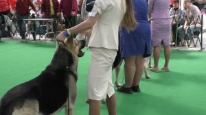 Сравнение на ЛЮ и ЛПП