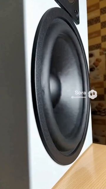 Ролик LT Из Мессенджера MAX.