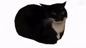 КОШКА мем оригинал 1 час