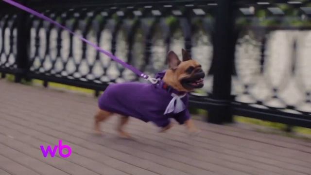 правильно я Wildberries 3 серия люди сосут