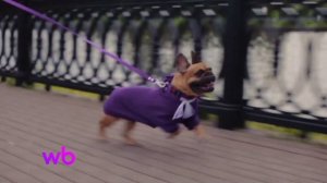 правильно я wildberries 3 серия люди сосут