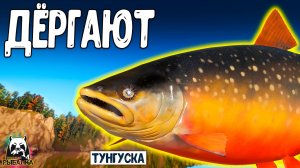 Rf4 они подходят и внезапно дёргают #рр4