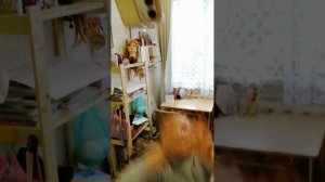 типы подруг. на какую подругу похожи вы? 😳😳😳☺️