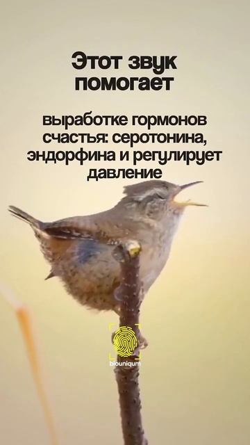 слейся с природой, мир прекрасен!