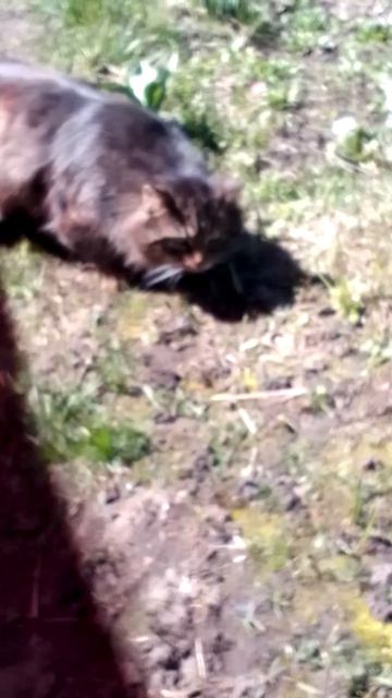 И кто ж такого выкинул!