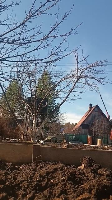 Обрезка яблонь в Ключевском