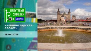 Калининградская область. Непутевые заметки. Выпуск от 26.04.2026