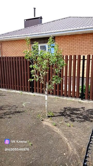 Забор из штакетника