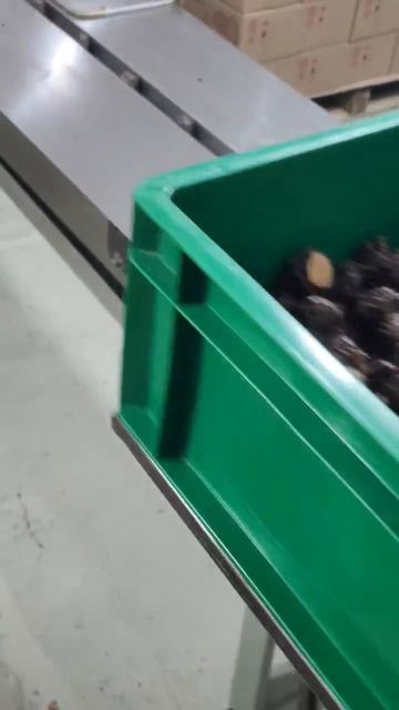 Укоадчик конфет на флоупак