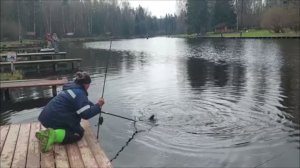 Верхний после запуска. Клёвое место, Лосиный остров.