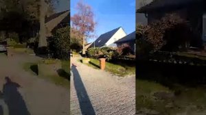 прогулка по немецкому городку